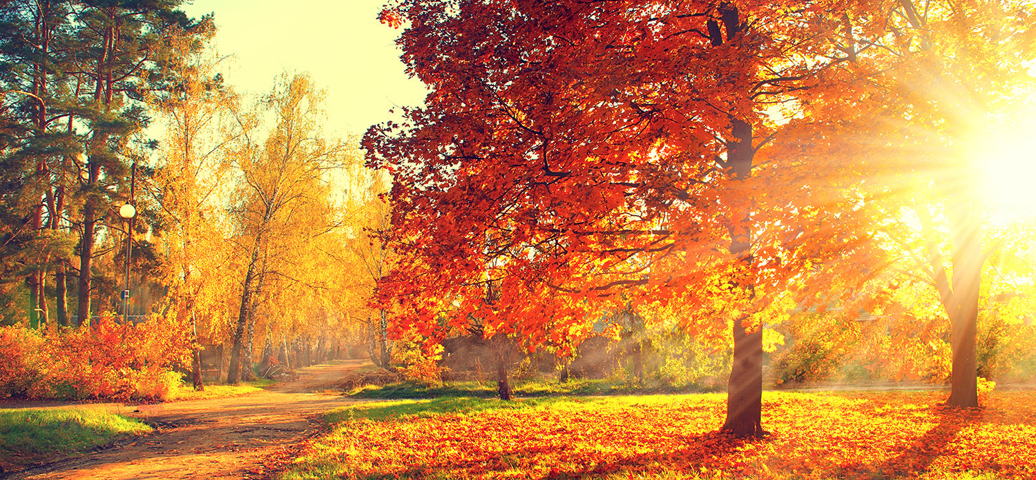 For The Love Of Fall Fashion Outfits!