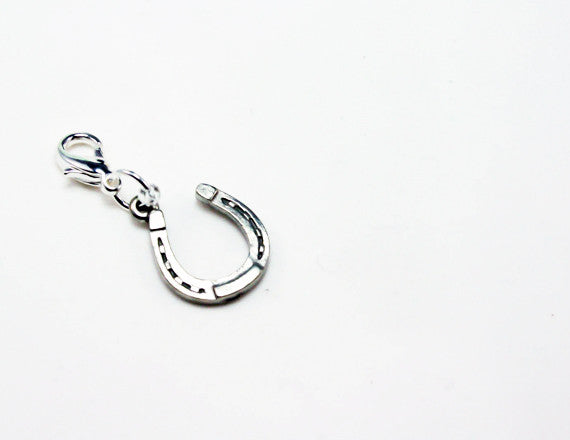 lucky horseshoe charm bracelet charm
