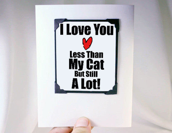 cat lover funny love you quote