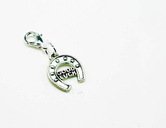 lucky horseshoe good luck charm