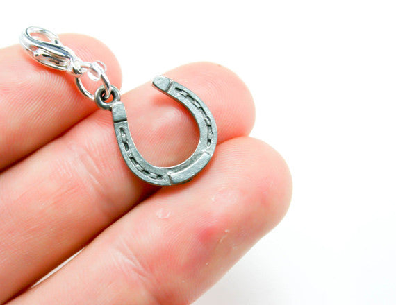 good luck horseshoe charm