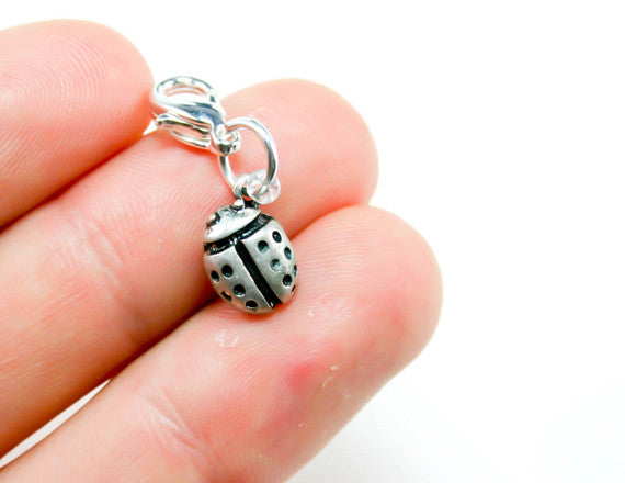 cute ladybug charm
